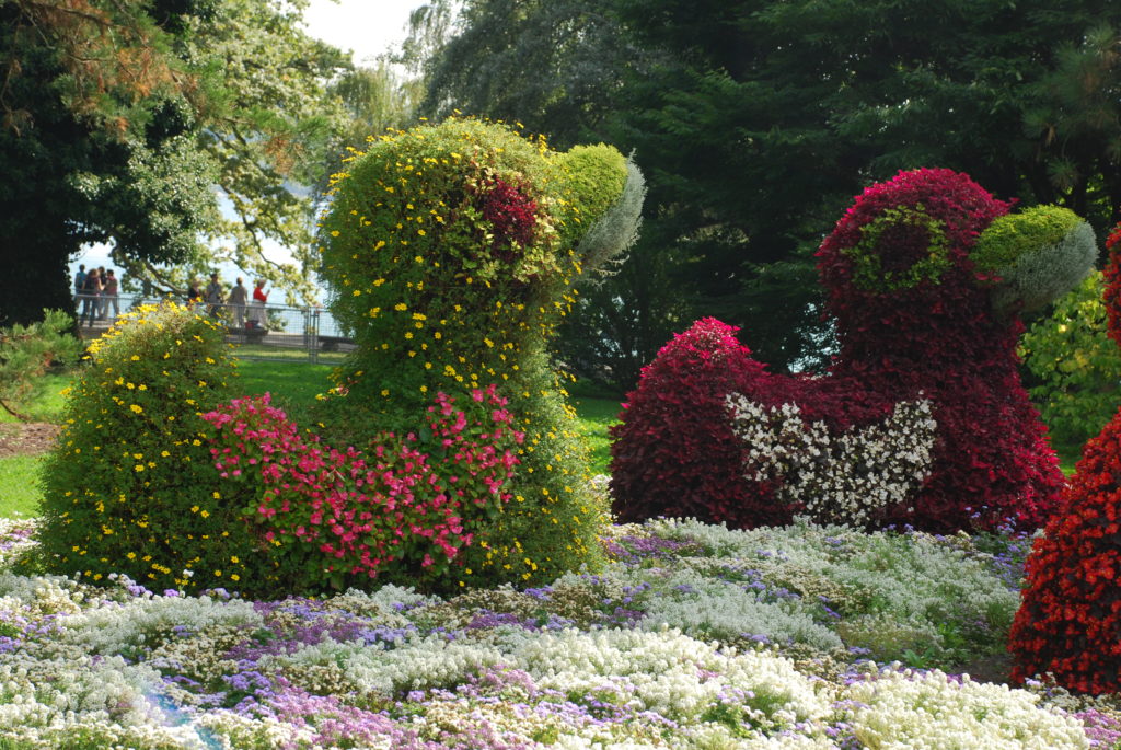 Ausflug Insel Mainau 2014