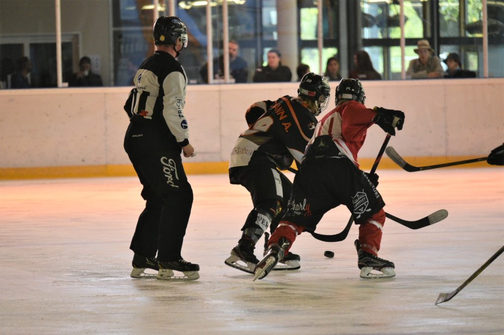 Brandis Ladies – GCK Lions